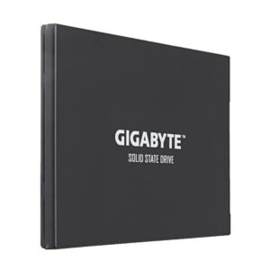 Gigabyte UD PRO 256 GB