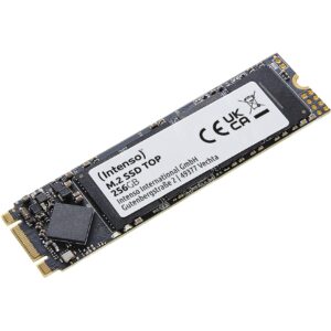 Intenso TOP 256 GB