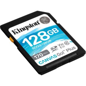 Kingston Canvas Go! Plus 128 GB SDXC