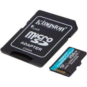 Kingston Canvas Go! Plus 256 GB microSDXC