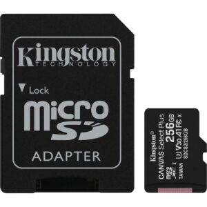Kingston R100 256 GB microSDXC